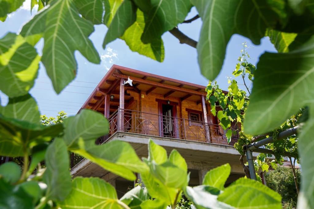 Wooden House In Ioannina公寓 外观 照片