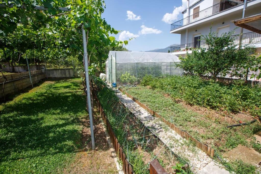 Wooden House In Ioannina公寓 外观 照片