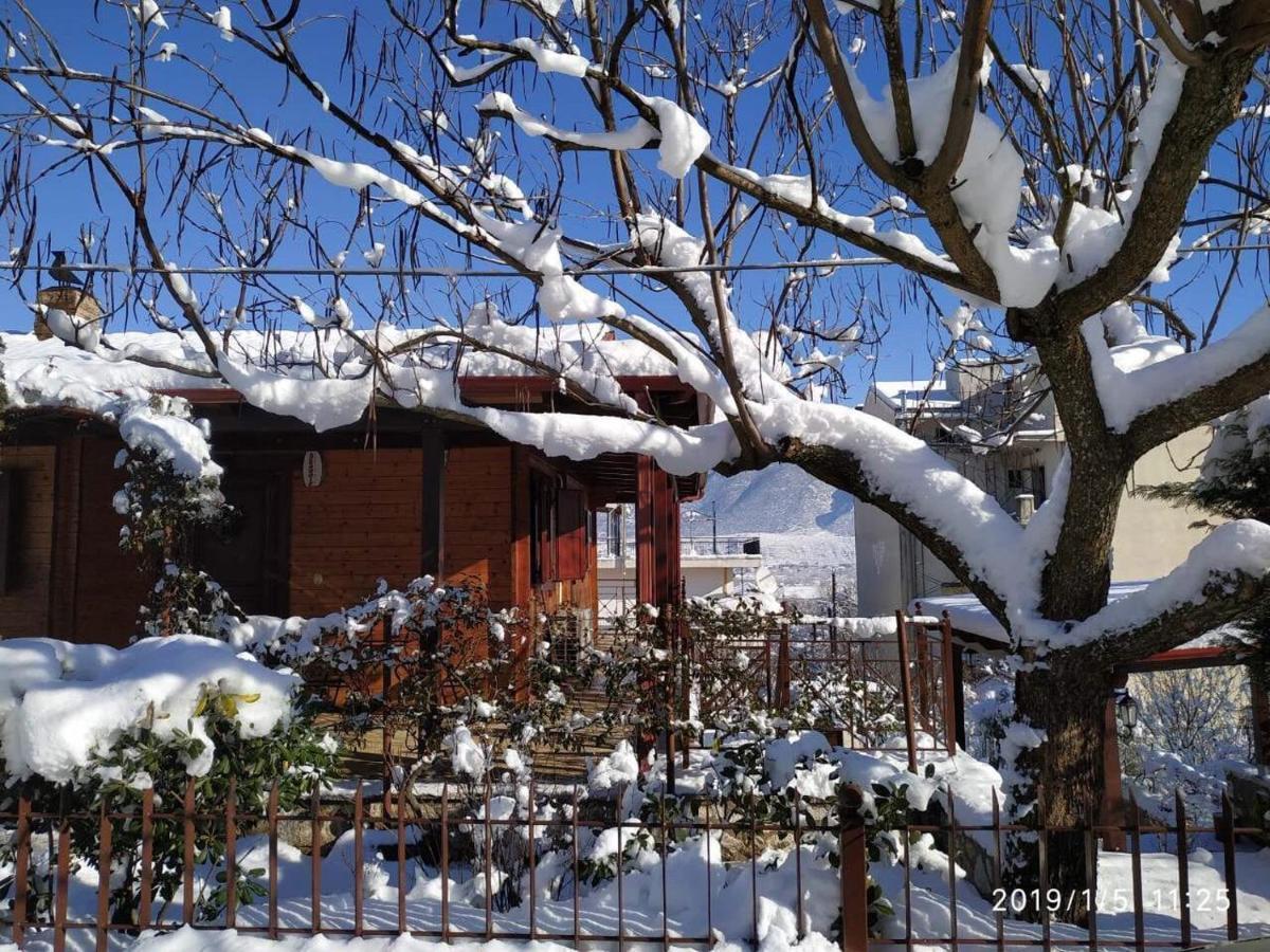 Wooden House In Ioannina公寓 外观 照片